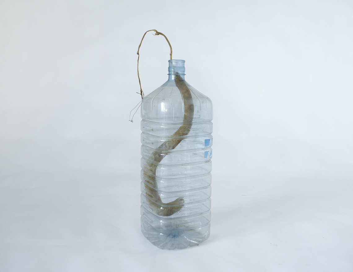 flora plastica 2015 / senza titolo #01 / cm 68x20x20 / bottiglia in pet, cucurbitacea legenaria